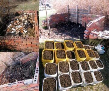 My 22-Bucket Yield from a 5-Hour Stint of Relaxed Composting Image